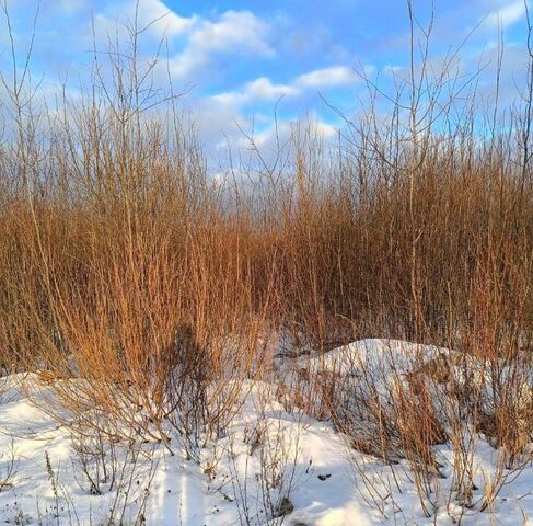 ул Северо-Западная 17 Павлово-Посадский городской округ фото