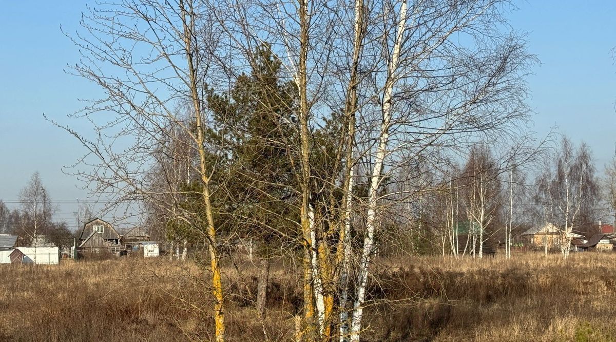 земля городской округ Богородский п Обухово Ленинская тер фото 1