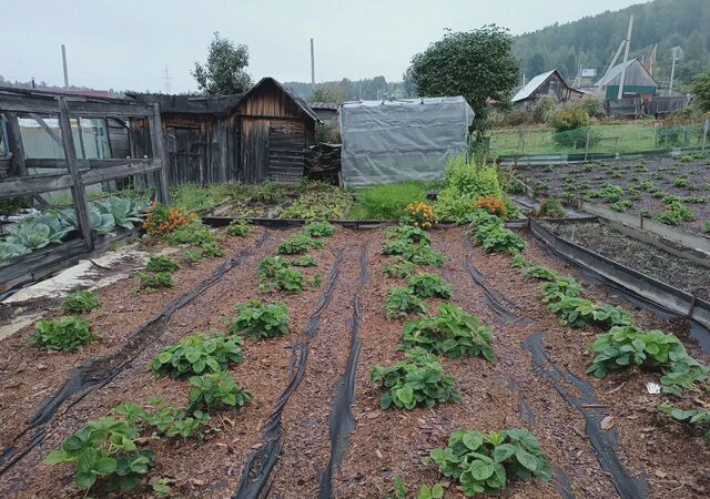 снт Бабха 1 Байкальское муниципальное образование фото