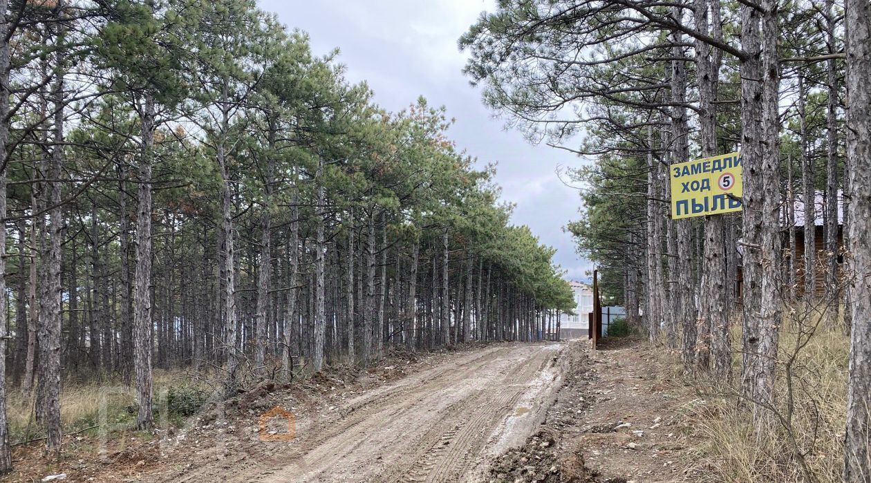 земля г Алушта п Семидворье мкр Аян-Дере-2 29/19 фото 14