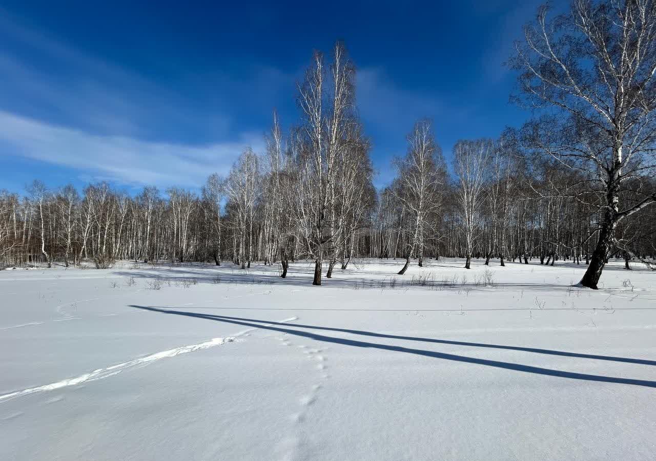 земля р-н Сосновский д Осиновка Кременкульское сельское поселение, пер. Новаторов, Челябинск фото 6