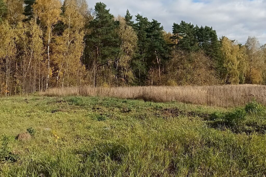 земля городской округ Ступино д Дубечино фото 2