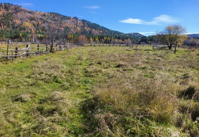 с Моты ул Иркутная Большой Луг фото