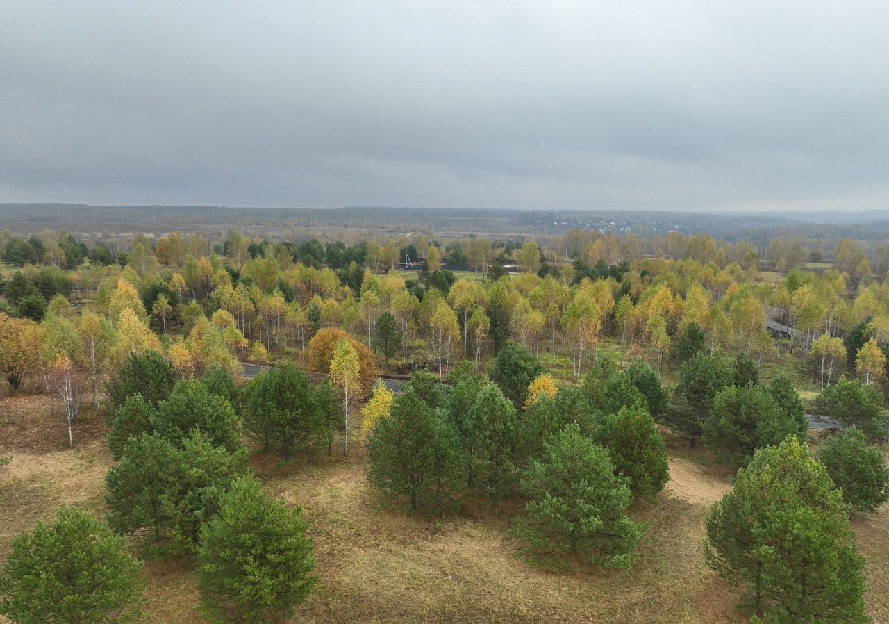 земля направление Курское (юг) ш Симферопольское 71 км, Серпухов фото 11