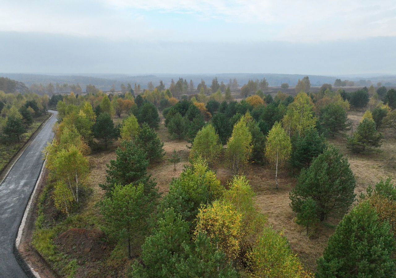 земля направление Курское (юг) ш Симферопольское 71 км, Серпухов фото 12