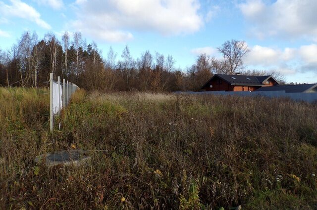 городской округ Ступино д Алфимово фото