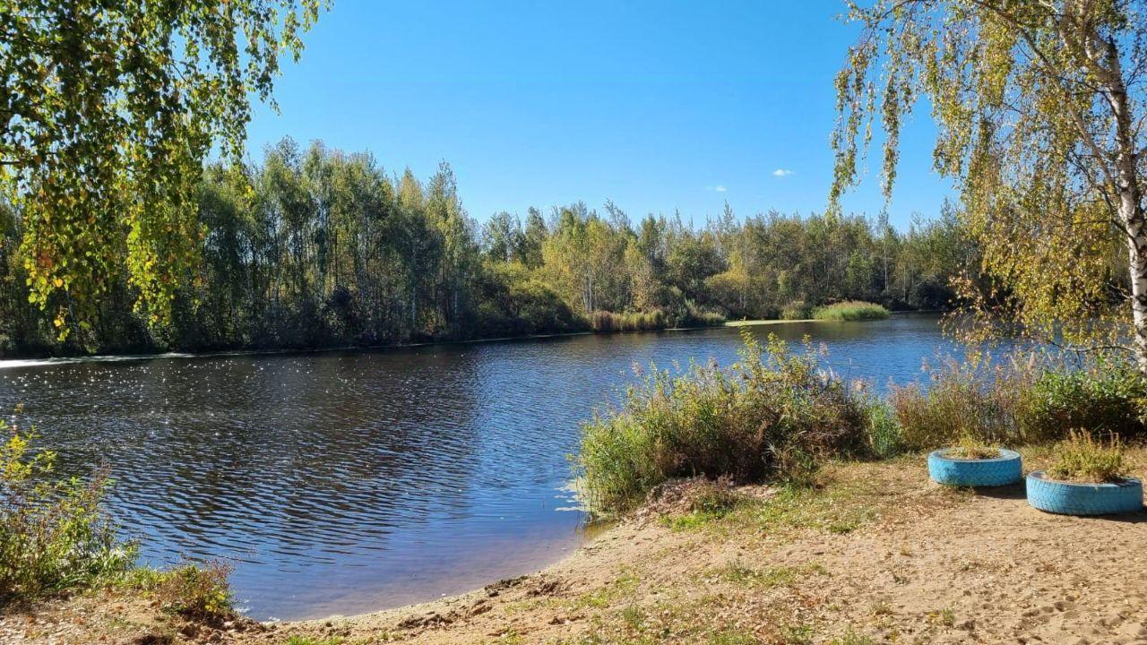дом городской округ Богородский г Ногинск снт тер.Ирригатор 24, Воровского фото 20