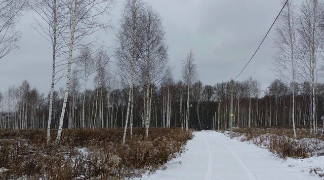 земля р-н Зареченский ул Плодородная фото