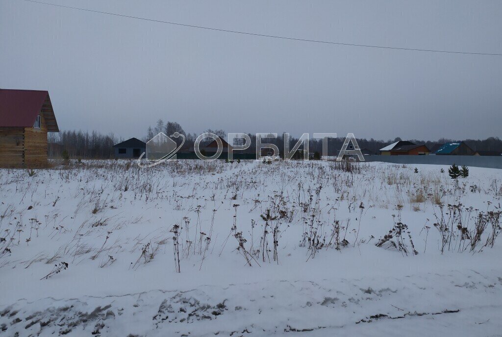 земля р-н Ялуторовский с Киева ул Ю. Гагарина фото 5