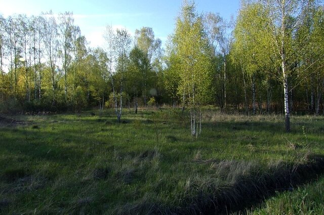 городской округ Ступино с Ивановское фото