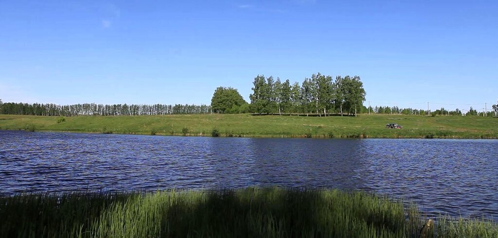 земля городской округ Чехов д Плешкино ул Лесная фото 3