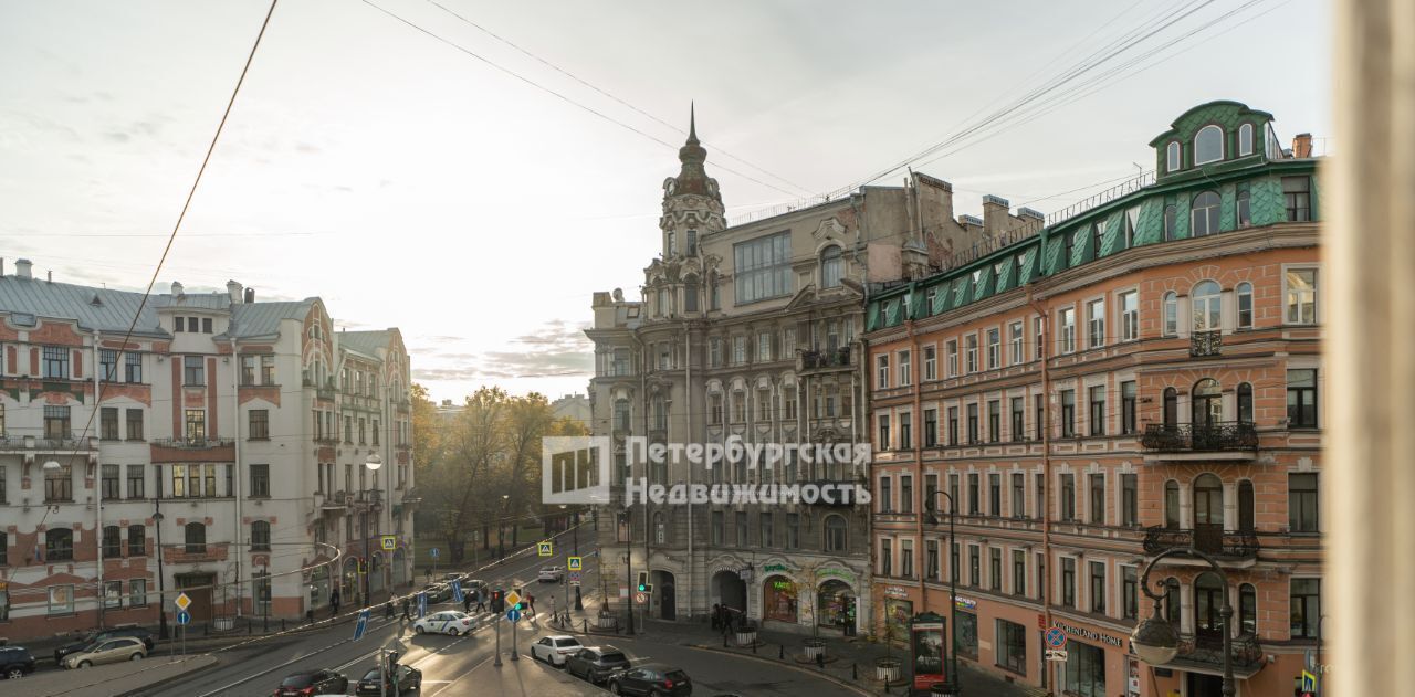 квартира г Санкт-Петербург метро Горьковская ул Мира 10 фото 12