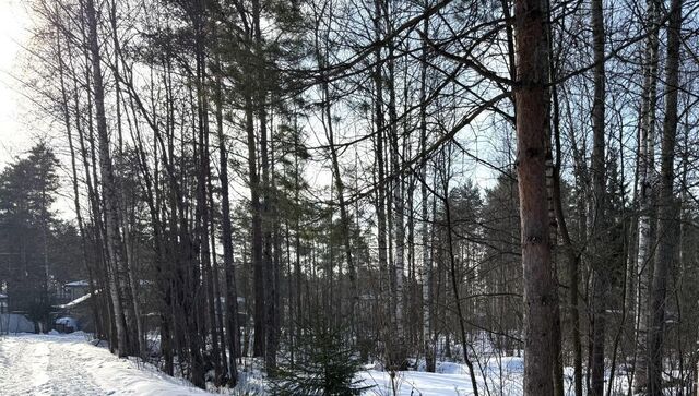 массив Белоостров снт Мария Сертоловское городское поселение фото