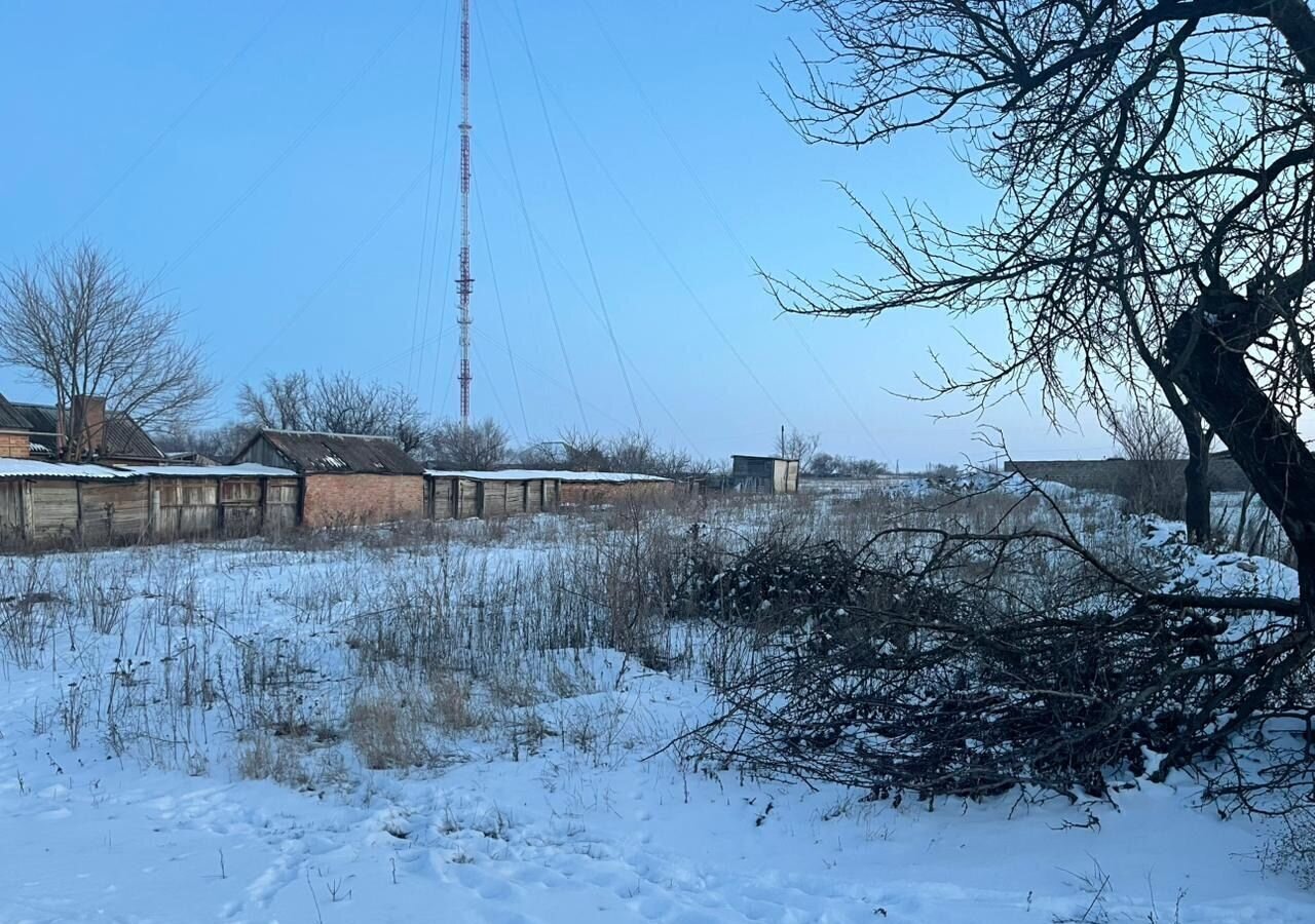 земля р-н Сальский п Конезавод имени Буденного Сальск фото 2