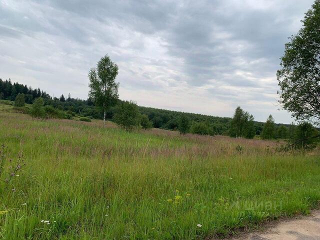 городской округ Можайский п Уваровка Можайское шоссе фото