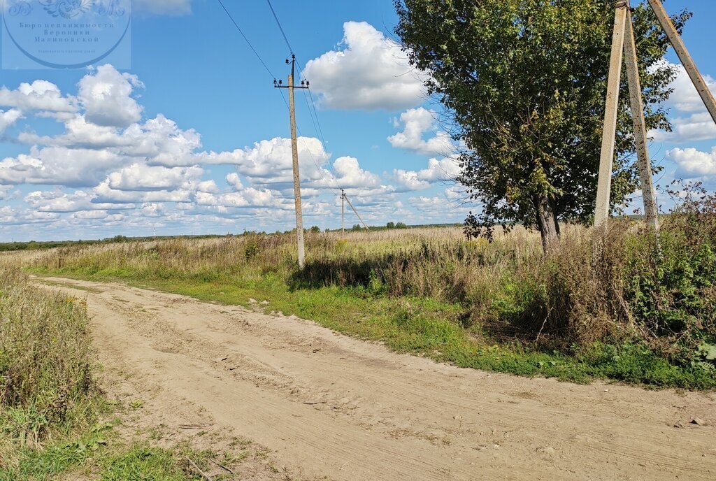 земля городской округ Раменский с Ульянино Отдых фото 3