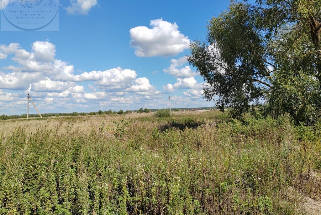 земля городской округ Раменский с Ульянино Отдых фото 5