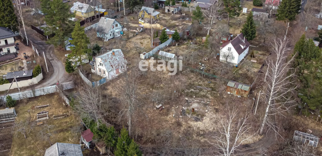 земля р-н Всеволожский снт Белоостров Сертоловское городское поселение, Парнас фото 5