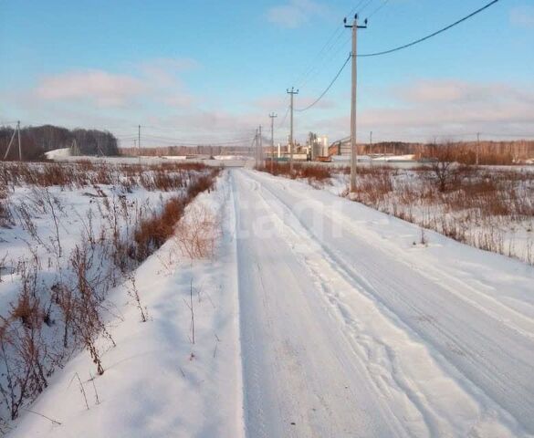 земля Тюменский тракт, Белоярский городской округ фото