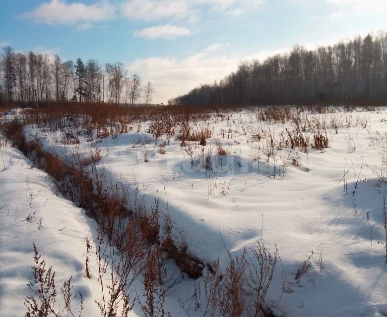 земля р-н Белоярский Белоярский городской округ фото 3