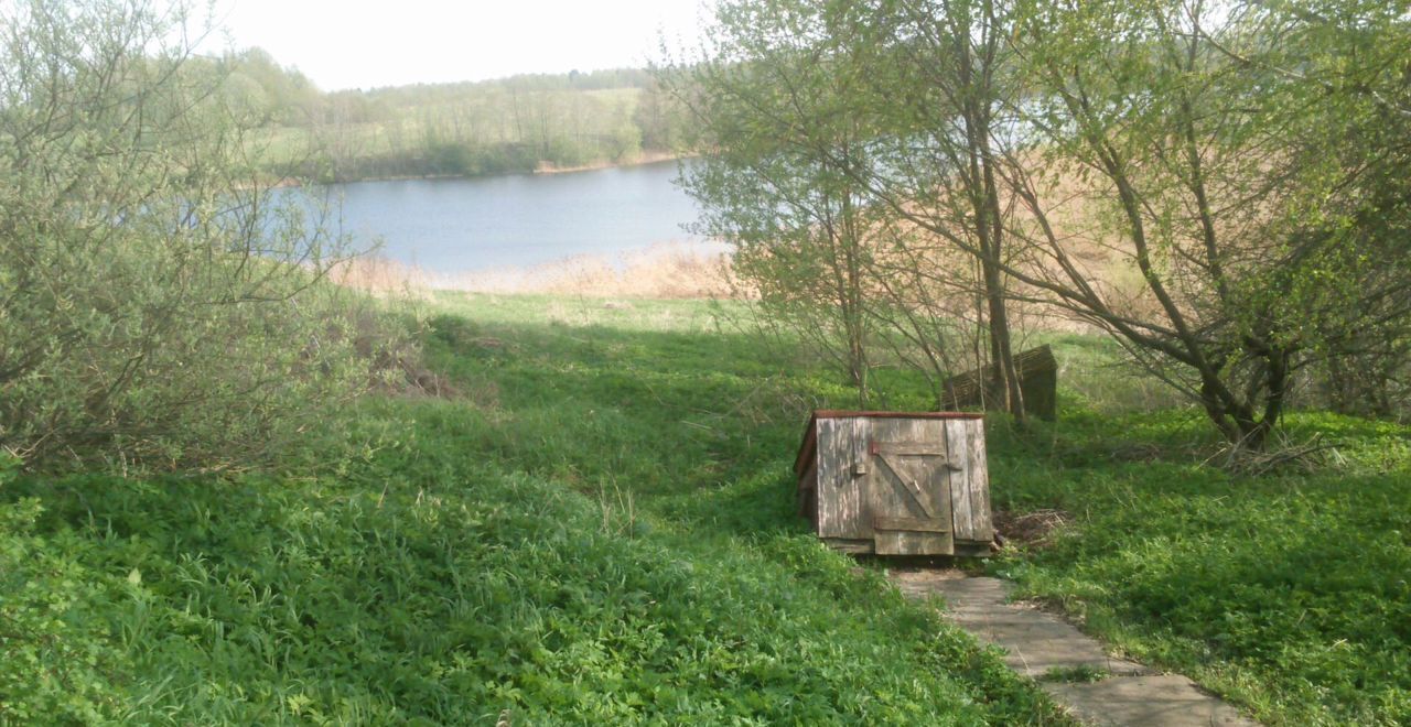 дом р-н Новосокольнический д Окни Пригородная волость, Новосокольники фото 4