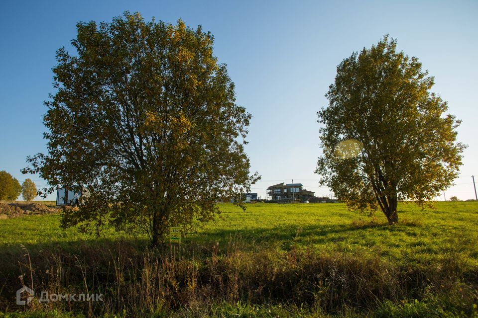 земля р-н Ломоносовский фото 1