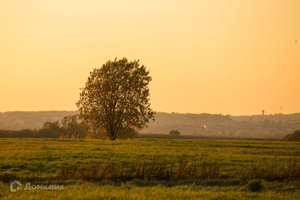 земля р-н Ломоносовский фото 3