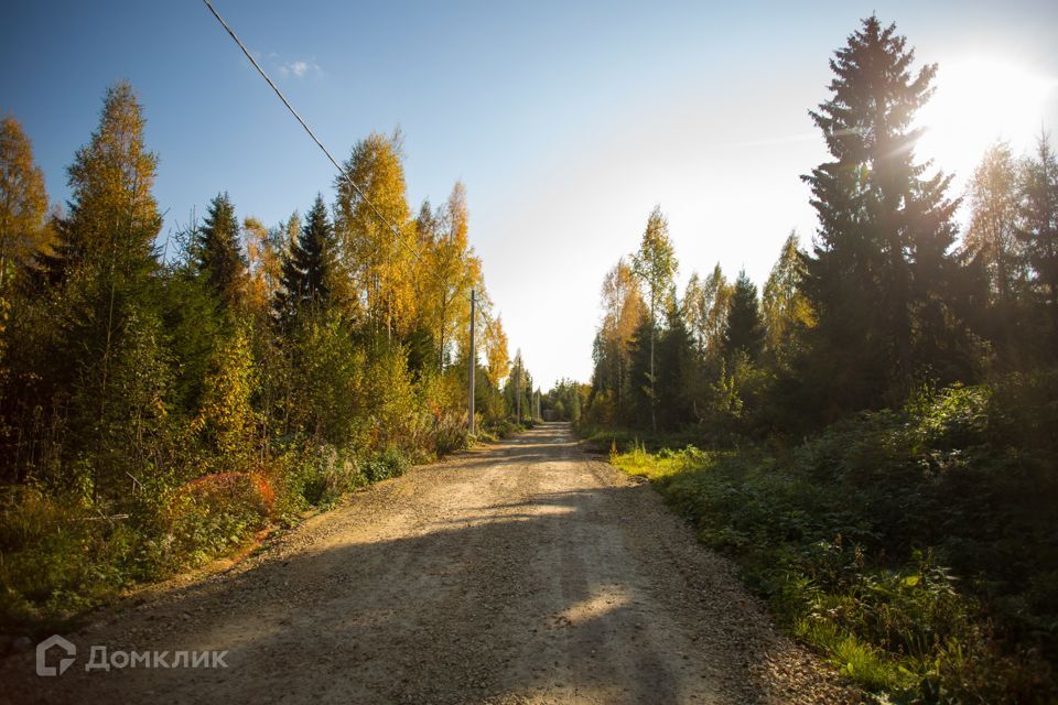 земля р-н Ломоносовский фото 4