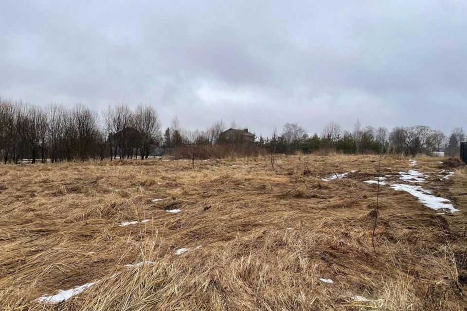 земля городской округ Можайский д. Большое Новосурино фото 4