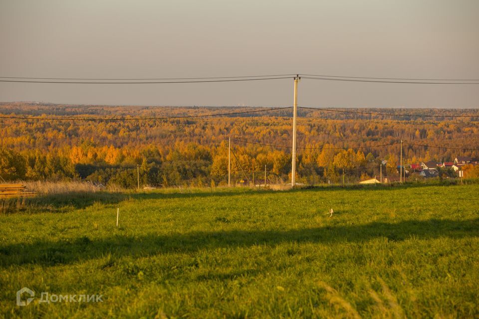 земля р-н Ломоносовский фото 8