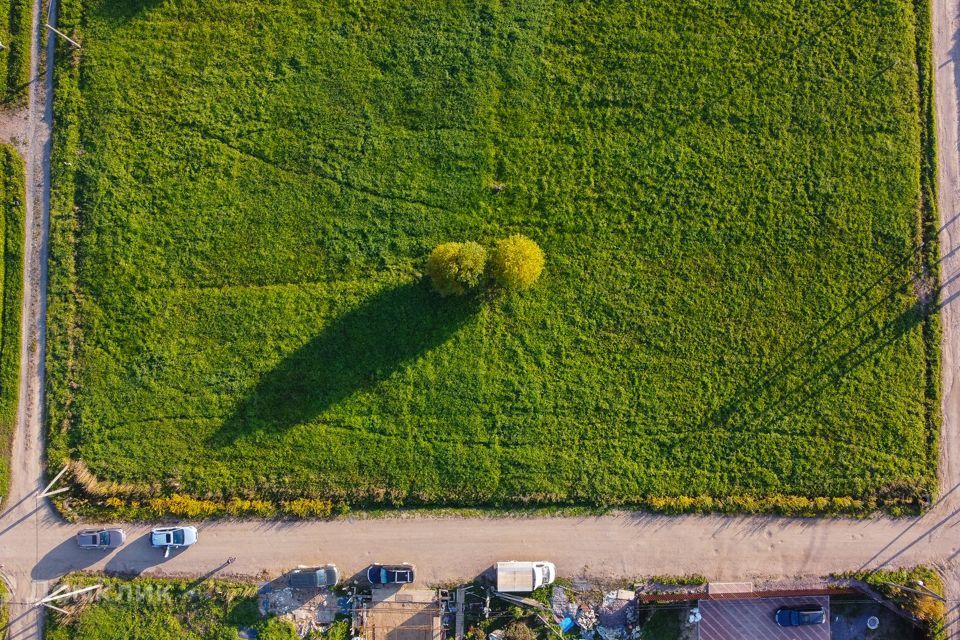 земля р-н Ломоносовский фото 9