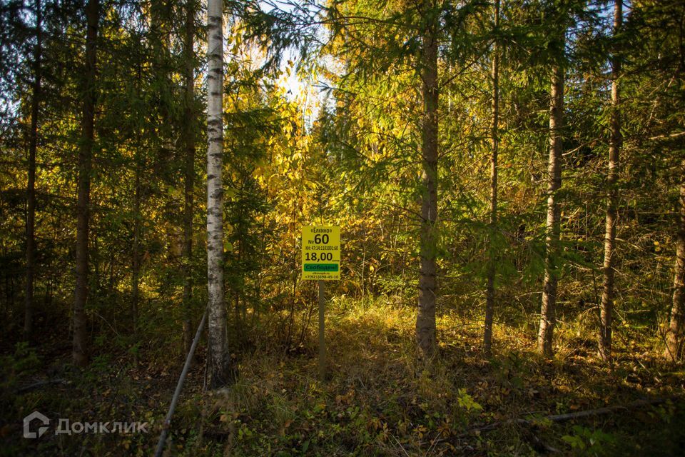 земля р-н Ломоносовский фото 10