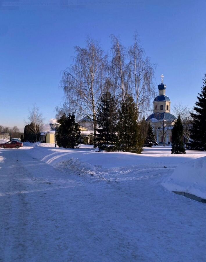 квартира г Москва метро Битцевский парк ул Инессы Арманд 8/17 фото 22