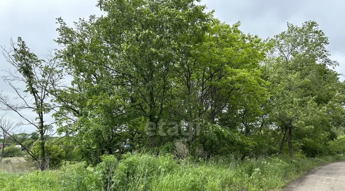 земля р-н Надеждинский п Тавричанка ул Кустарная фото 1