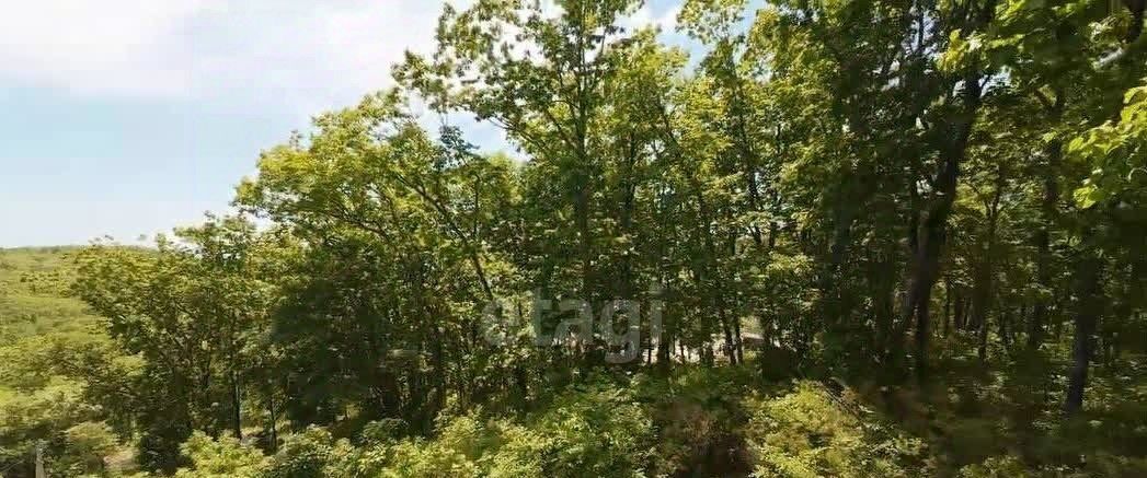 земля г Владивосток р-н Советский снт Пионер садоводческое товарищество фото 1