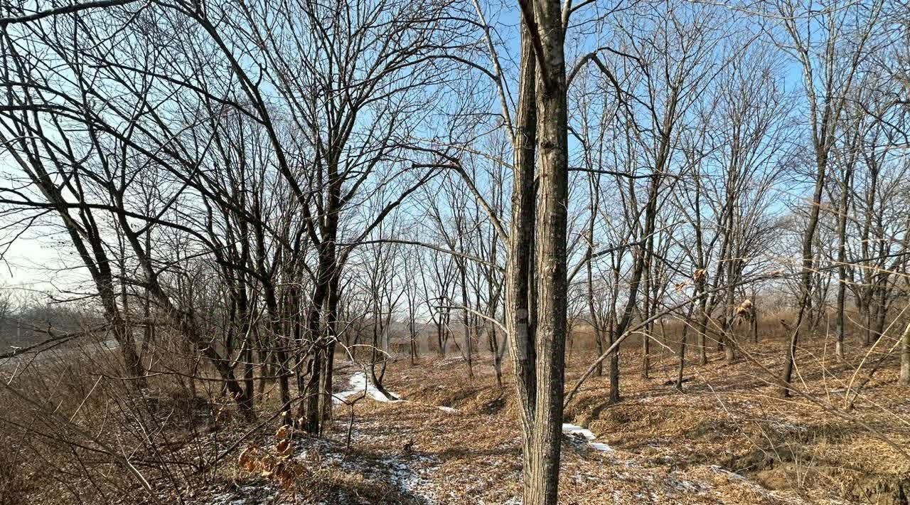 земля р-н Надеждинский п Тавричанка ул Кустарная 1 фото 3