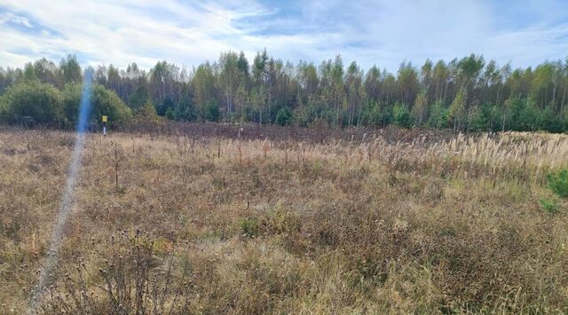 земля д Донино Раменское фото