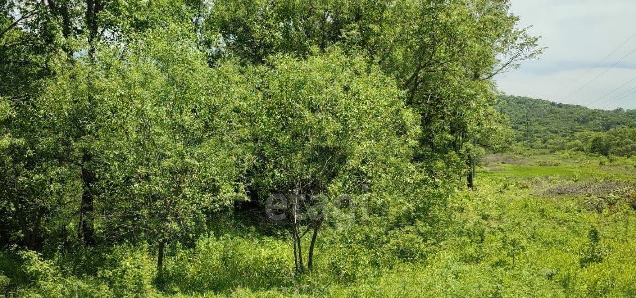 земля р-н Надеждинский п Раздольное ул Лазо фото 3