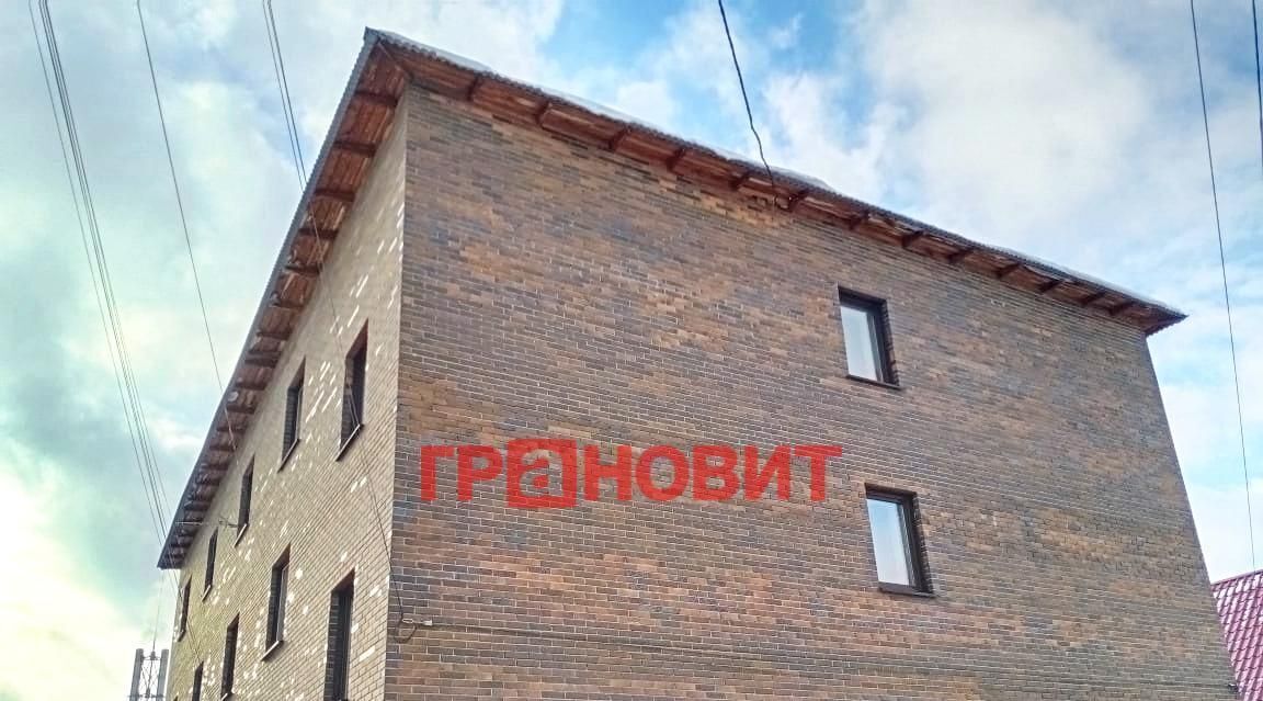 квартира г Новосибирск Студенческая Северо-Чемской ул 2-я Гэсстроевская 50 жилмассив фото 25