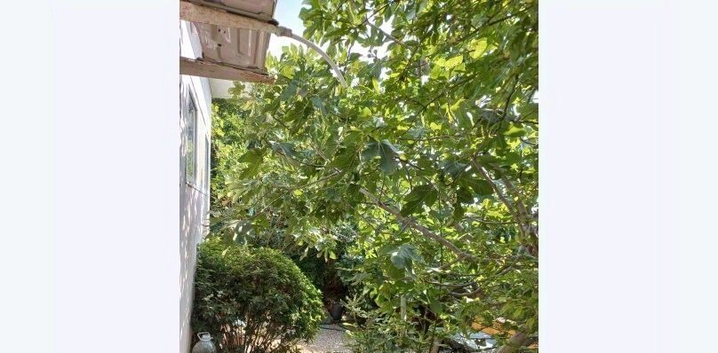 дом г Ялта г Алупка ул им Ленина 21 фото 21