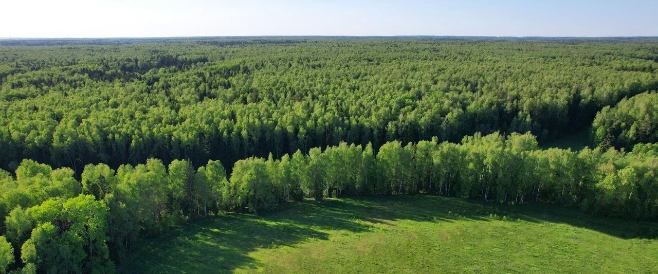 земля городской округ Пушкинский Михалево Парк кп, 1 фото 2