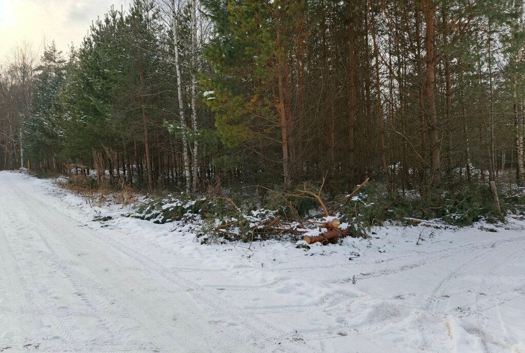 земля г Владимир с Кусуново ул Кусуновская фото 3