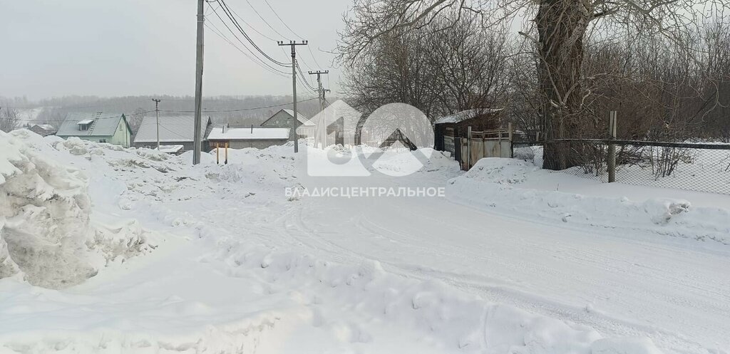 земля г Новосибирск р-н Дзержинский Берёзовая роща фото 3