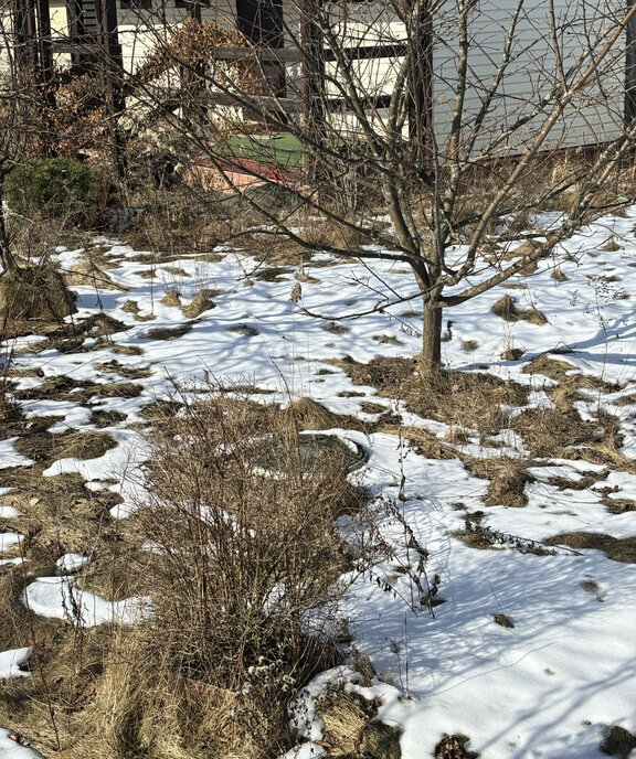 дом городской округ Раменский территория Солнечный Рай, 12 фото 14