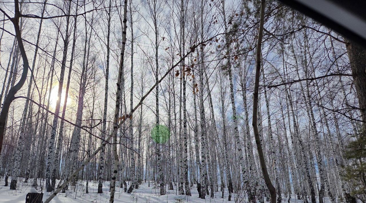 дом г Дегтярск ул Озерная фото 15