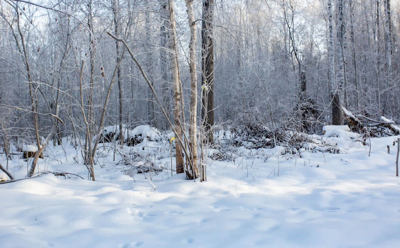 земля г Тобольск р-н мкр Усадьба фото 11