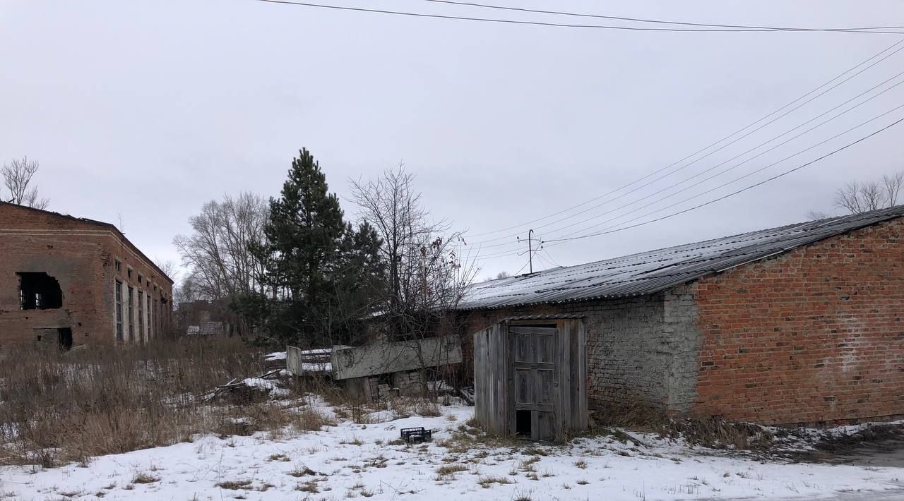 гараж р-н Большеберезниковский с Большие Березники фото 2