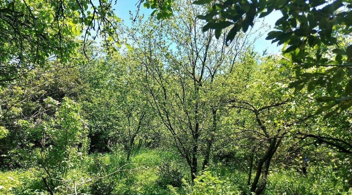 земля г Ялта пгт Краснокаменка ул Центральная 75 фото 5