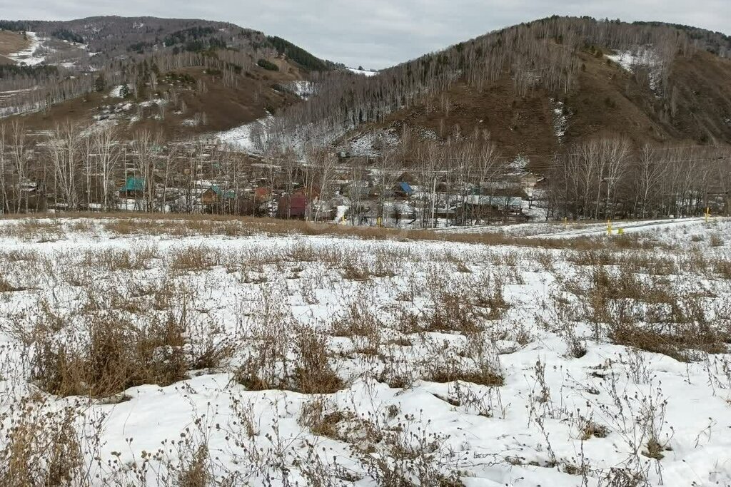 земля р-н Майминский с Бирюля ул Луговая фото 2