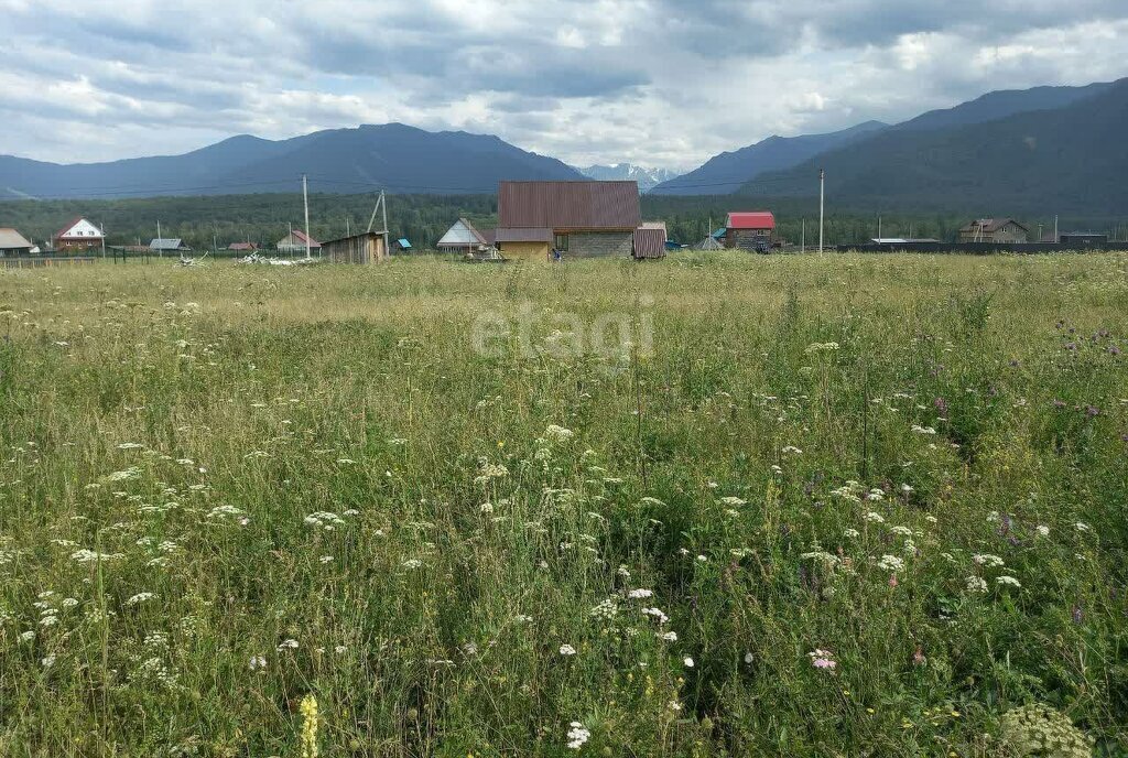 земля р-н Усть-Коксинский с Тюнгур ул Полевая фото 3